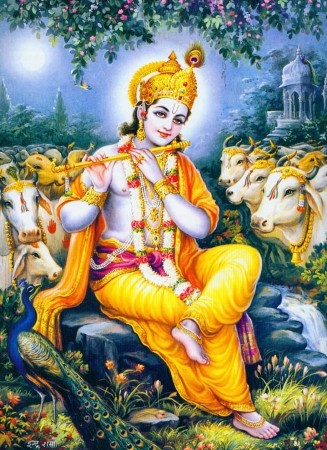 मिथिलामा श्रीकृष्ण जन्माष्टमीको उल्लास   